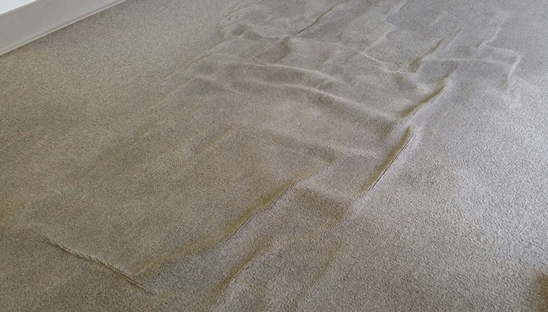 Figure out why do carpets buckle.