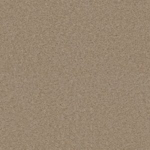 EXCEPTIONAL II by Dreamweaver - Cashmere 580