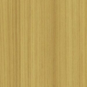 Color Range 5 by Shaw Floors - Merigold