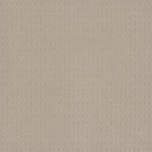 CASPIAN by Dreamweaver - Champagne Fizz 6309