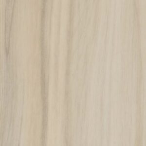 REWILD by Philadelphia Commercial - Vitalize (Stagger)