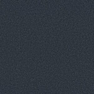 TONAL COMFORT II by Shaw Floors - Under The Stars