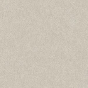 TONAL COMFORT II by Shaw Floors - Warm Blanket