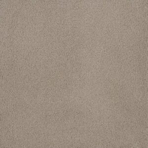 PALMETTO II by Dreamweaver - Sun Washed 2235