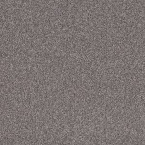CALM SIMPLICITY I by Shaw Floors - Newstone Haven