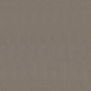 MAINSTAY by Shaw Floors - River Run