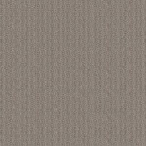 LOOP DE LOOP by Shaw Floors - Industrial