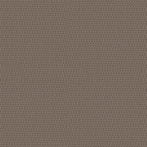 CRAFTED EMBRACE by Shaw Floors - Raw Wood
