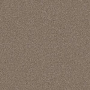 YOU GOT THIS III by Shaw Floors - Cameo