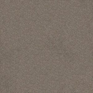 SWEET INSPIRATION II by Shaw Floors - Moccasin