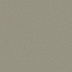 PREMIER ROLE by Shaw Floors - Cascade