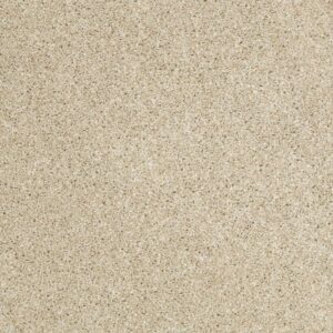 SUN DRENCHED by Shaw Floors - Dunes