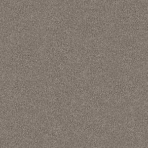 POISED by Shaw Floors - Chic Taupe