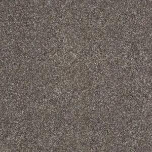 SUN DRENCHED by Shaw Floors - Graphite