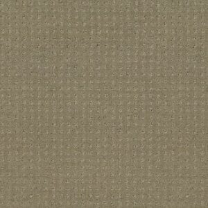 INSPIRED BY PATTERN by Shaw Floors - Rocky Coast