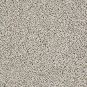 ELEMENTAL MIX II by Shaw Floors - Silver Lining