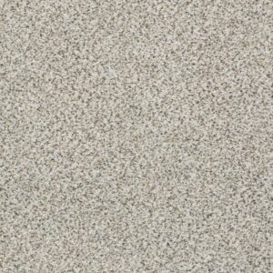 ELEMENTAL MIX III by Shaw Floors - Snowbound