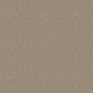 SHAKE IT UP (S) by Shaw Floors - Beech