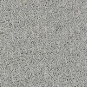 COMPLETE CONTROL by Shaw Floors - Offshore Mist
