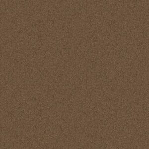 NEWBERN CLASSIC 12' by Shaw Floors - Driftwood