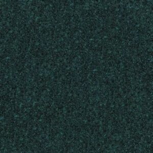 DYERSBURG CLASSIC 15' by Shaw Floors - Polo