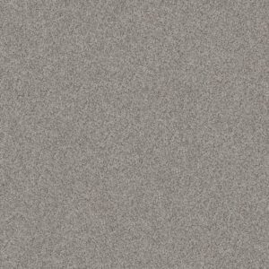 COOL FLAIR by Shaw Floors - Sterling Haze