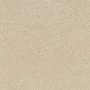 TIP OF THE HAT by Shaw Floors - Winter White