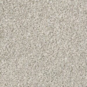 ALL SET II by Shaw Floors - Quartz