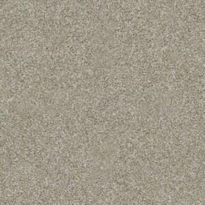 GELATO by Shaw Floors - Gray Flannel