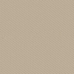 ENTWINED WITH YOU by Shaw Floors - Sentimental