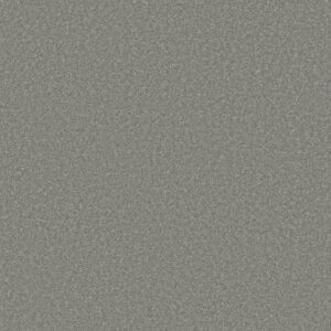 SOMETHING SWEET by Shaw Floors - Mindful Gray