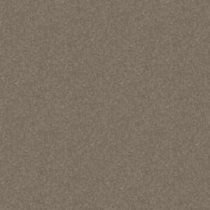 DYERSBURG CLASSIC 15' by Shaw Floors - Pebble Path