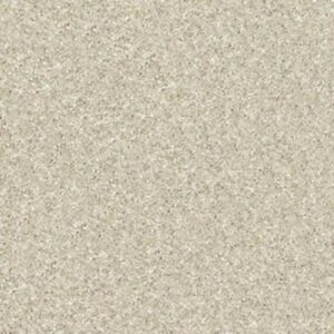 TACTICAL by Shaw Floors - Pebble