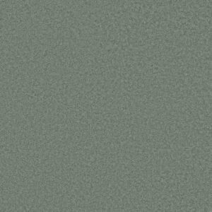 LOYAL BEAUTY III by Shaw Floors - Fairy Tale