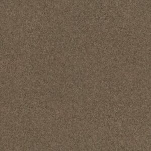 COZY HARBOR II by Shaw Floors - Raw Wood