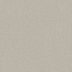 COZY HARBOR II by Shaw Floors - Thoughtful