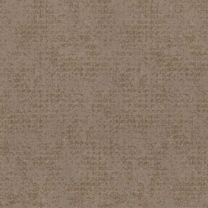 ARTISTIC PRESENCE by Shaw Floors - Tumbleweed