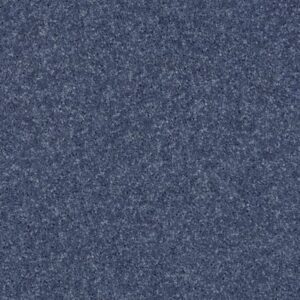 ALL STAR WEEKEND I 15' by Shaw Floors - Steel