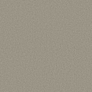 FIND YOUR COMFORT TT I by Shaw Floors - Back Patio (T)