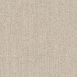 CREATING MEMORIES by Shaw Floors - Champagne Toast