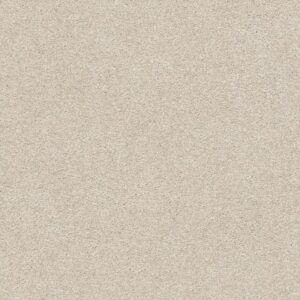 FIND YOUR COMFORT NS I by Shaw Floors - Sand Castle (S)