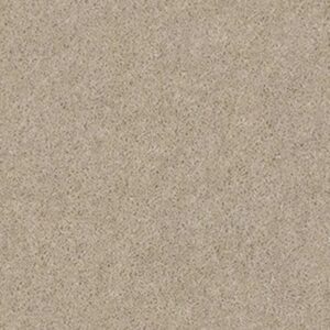 SPRINTER by Shaw Floors - Chipmunk