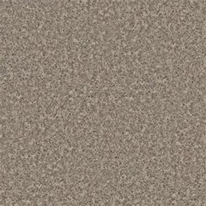 ALL STAR WEEKEND I 15' by Shaw Floors - River Slate