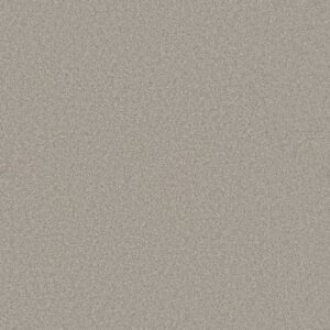 HARMONIOUS I by Shaw Floors - Baltic Stone