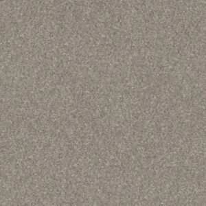 WITHOUT LIMITS III by Shaw Floors - Heather