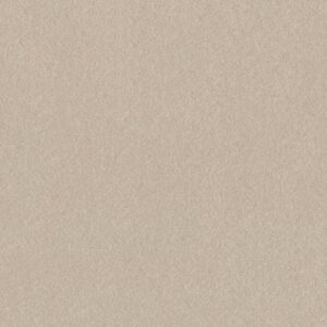 HARD AT PLAY II 12' by Shaw Floors - Warm Light