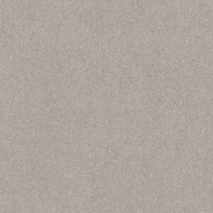 SMOOTH TALK II by Shaw Floors - Silver Mist