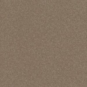 HARD AT PLAY III 15' by Shaw Floors - Cameo