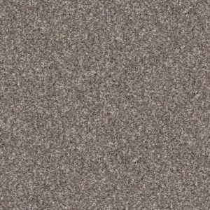 YES YOU CAN II 12' by Shaw Floors - Alaskan Air