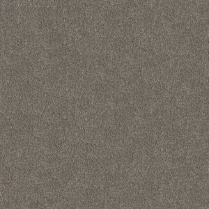 TRUSPIRIT I by Shaw Floors - Cobble Drive